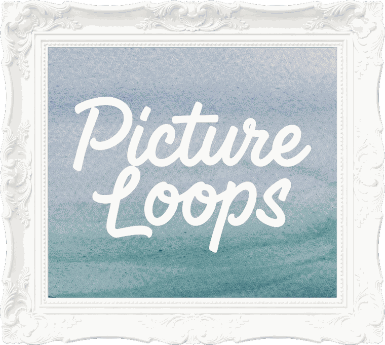 Picture Loops