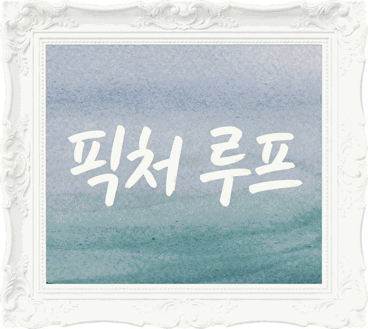 픽처 루프